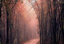 -遭德国逆转，意大利自年以来首次在主场领先后输球.：海星体育