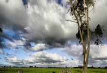 32球，登贝莱本赛季在俱乐部与国家队总进球数超越姆巴佩.