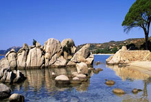 欧冠综合：皇马、阿森纳会师八.